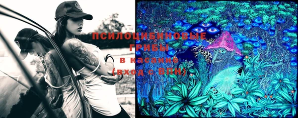 a pvp Бородино