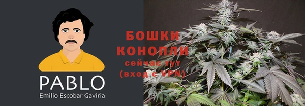 молекула духа Верея