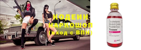 прущие грибы Верхний Тагил