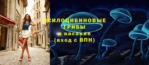 молекула духа Верея