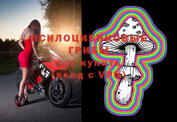 a pvp Бородино
