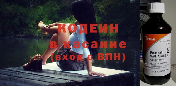 прущие грибы Верхний Тагил