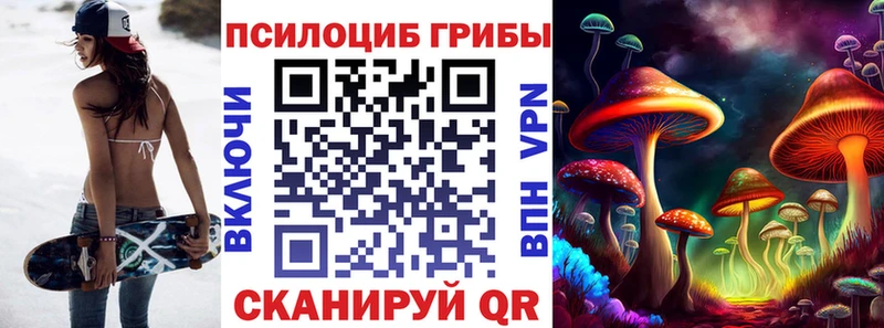 где купить   Мончегорск  Галлюциногенные грибы GOLDEN TEACHER 